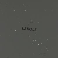 スプラッシュ柄プレート（L） チャコール LAKOLE/ラコレ