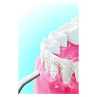 【口腔洗浄器】 ファミリー・ライフ ジェット水流口腔洗浄器 ACアダプター付き a31518 1個