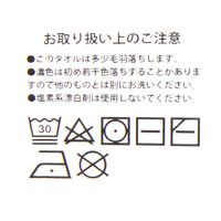 刺繍ハンドタオル OLIVE LAKOLE/ラコレ