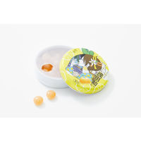 浅田飴糖衣L 檸檬 口腔咽喉薬 30錠 3缶セット 浅田飴  声がれ のどの痛み 中村佑介