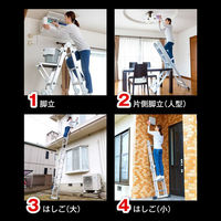 プライムダイレクト ステップエイト SE11 1台（直送品）