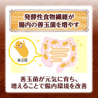 日本ケロッグ オールブラン ブランチョコフレーク 350g 1袋 【機能性表示食品】 シリアル