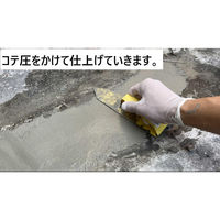 家庭化学工業 プレミックスセメント 4kg グレー 209701 1袋