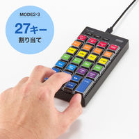 サンワサプライ プログラマブルテンキー(有線モデル) NT-26UBK 1個（直送品）
