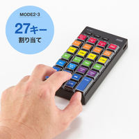 サンワサプライ プログラマブルテンキー（Bluetoothモデル） NT-BT26BK 1個（直送品）