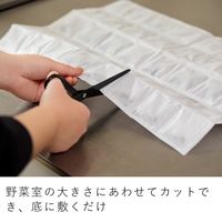 &NE nikii 野菜室シート 底に敷くだけ 野菜室の環境改善 好きな大きさにカットできる 1個（2枚入） 日本製 エヌ・エレファント