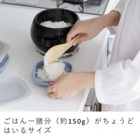 &NE 冷凍ご飯もふっくら解凍 Refura（レフラ）保存容器 3色セット 1個 電子レンジ可 エヌ・エレファント