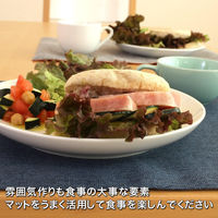 サンベルム Pally ランチョンマット リバーシブル ネイビー/グレー●3個セット 4522021509363 1セット(3個入)（直送品）