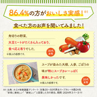 カゴメ プラントベース ごろっと根菜のスープカレー 1人前・250g 1セット（1個×3）レンジ対応 レトルト