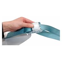 パーマンコーポレーション ベルト荷締機 ラッシングベルト 巾38 固定0.6m 調整2.3m Eクリップ 6472020000 1個（直送品）