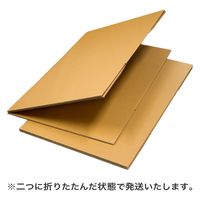 トッパン・コスモ 190サイズダンボール 6枚セット 66×66×50cm FD19-0006-SK 1セット(6枚)（直送品）