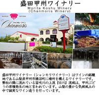 シャンモリ ワインパーティー 白ワイン やや辛口　1.5L ペット 1セット（1本×6本） 盛田甲州ワイナリー 国産 1500ml