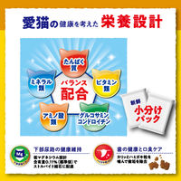 ミオドライミックス 毛玉対応 11歳以上 かつお味 国産 1kg 1袋 キャットフード 猫用