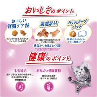 コンボ キャット 腎臓の健康維持 まぐろ味・減塩かつお節・まぐろ節添え 国産 600g（120g×5袋）1袋 キャットフード