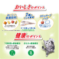 コンボ キャット 肥満が気になる猫用 まぐろ味・かつお節・かつおチップ添え 国産 600g（120g×5袋）1袋 キャットフード