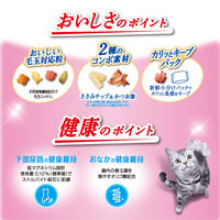 コンボ キャット 毛玉対応 まぐろ味・ささみチップ・かつお節添え 国産 600g（120g×5袋）1袋 キャットフード