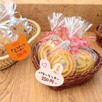 ササガワ ぷちカード ウサギ 中 16-7122 1冊(12枚:6色各2枚袋)