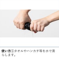 LOGOS 瞬間アイススタンプ 81336860 1セット（1本×2） LOGOS/ロゴス