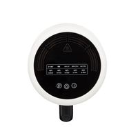 CCP ガラスノンフライオーブン pottil BE-AF95-VY 1台