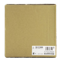 サンワサプライ Mac miniセキュリティ(eセキュリティ) SLE-21SMM 1個（わけあり品）