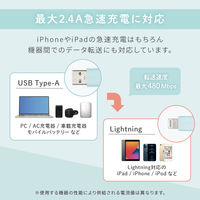 オウルテック 編み込みシリコンケーブル Type-AtoL キナリ OWL-CBSRLA15-KI 1個