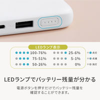 オウルテック ポケットサイズ薄型モバイルバッテリー 10000mAh ブラック OWL-LPB10013-BK 1個