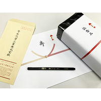 寺西化学工業 マジック 筆ペン 細字 MFPHP-T1 1セット(1本×10)