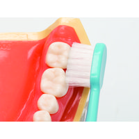 フィード Dent1歯ブラシ flat411/M パック 8885455 1袋(20本入)