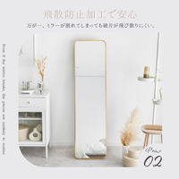 武田コーポレーション スタンドミラーワイドGD A3-SM150GD 1箱(1個入)（直送品）