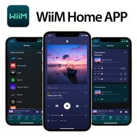 Linkplay Technology ネットワークプレイヤー/シルバー WIIM-AMP-SILVER 1個（直送品）