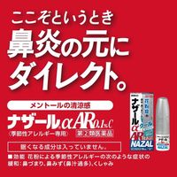 ナザールαAR0.1％C＜季節性アレルギー専用＞ 10ml 佐藤製薬 ナザール 鼻炎スプレー 花粉症 鼻炎薬 点鼻薬【指定第2類医薬品】