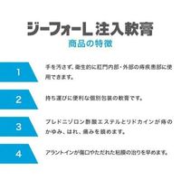 ジーフォーL注入軟膏 2g×10個 佐藤製薬 塗り薬 ステロイド配合 痔の痛み・出血・はれ・かゆみ【指定第2類医薬品】