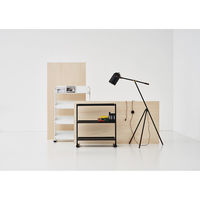 東谷 2WAYラック3D DIS-73BK 1台