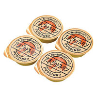 秋川牧園 【5個セット】秋川牧園 たまご村プリン4個 AKB-001-5 1セット(5個)（直送品）