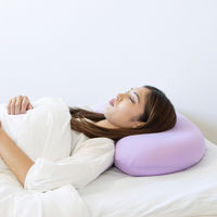 武田コーポレーション ビーンズまくらPU NRY-BEANPU 1箱(5個入)（直送品）