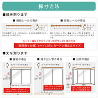 【5cm単位】ベット周り、間仕切り｜サンゲツ 医療用カーテン<グリーン>_幅180cmｘ丈140cm san-nmedi-N-gr 1枚（直送品）