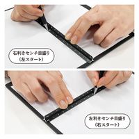 共栄プラスチック LRオールアルミ3面定規16cm ASR-16-BL 1セット(2本)（直送品）