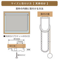 トーソー 【規格品】チェーンタイプ・ロールスクリーン 幅45cm×高さ180cm グリーン 4975559890586 1セット（直送品）
