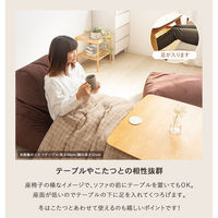 岩附 ビーズクッション オットマンタイプ IW-984 1個　ブラウン（直送品）