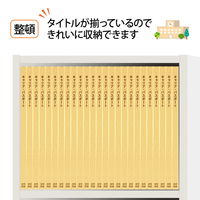 プラス 紙製ファイル キャリア・パスポート フラットファイル A4 児童用 イエロー 91387 1冊