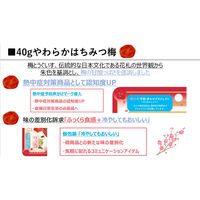 やわらかはちみつ梅 40g 6袋 カンロ おつまみ/珍味