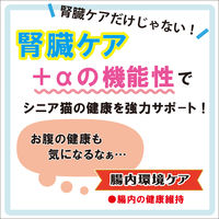 健康缶 シニア猫用 腸内環境ケア 40g 96袋 アイシア キャットフード パウチ