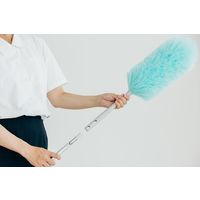 山崎産業 2989.jp+ ムーンダスターEX 1本