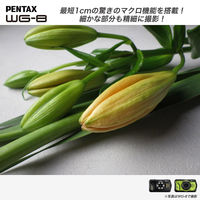 PENTAX 防水防塵 工事用 デジタルカメラ WG-8BK 1台