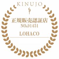 KINUJO ミニストレートヘアアイロン シルクプレート DG085 1台