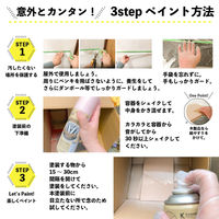 カンペハピオ マットペイントスプレー スレートグレー 300ml 9025039 1本