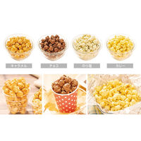 ライソン ポップコーンメーカー PN-02 KDPN-002W 1個