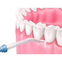 【口腔洗浄器】 ライソン 口腔洗浄器 水ようじ KSHL-001L 1台