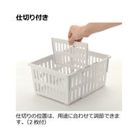 リッチェル トトノ 野菜・冷凍室用 伸縮ストッカー深型 レギュラー 236893 1個