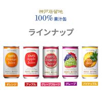 富永貿易 神戸居留地 グレープフルーツ100% 185g 1箱（30缶入）